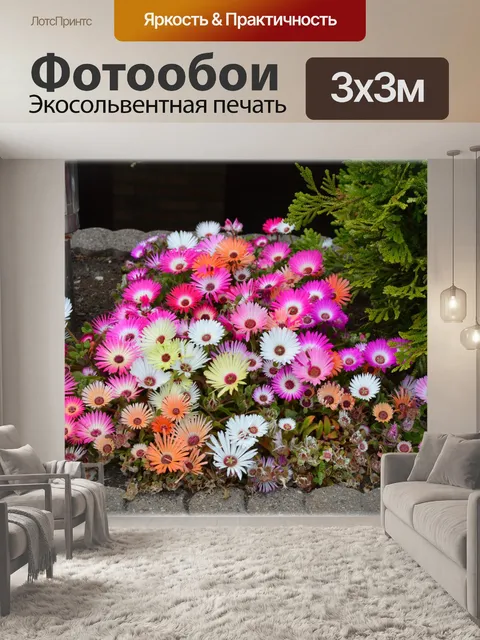 Фотообои Голландские цветы в саду
