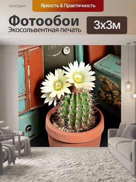 Фотообои винтажный стиль фотографии кактуса с светлыми цветами, окруженного ретро-декором и старинными предметами