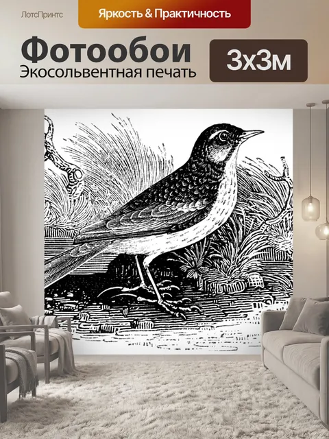Фотообои Луговой конек