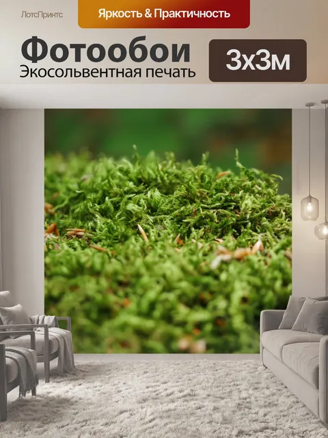 Фотообои Мох