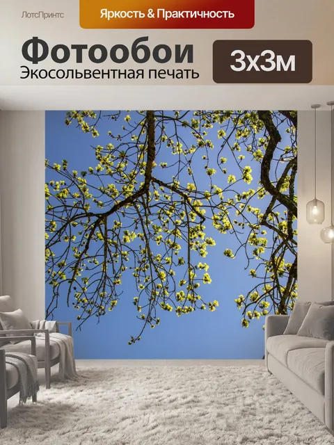 Фотообои Листья