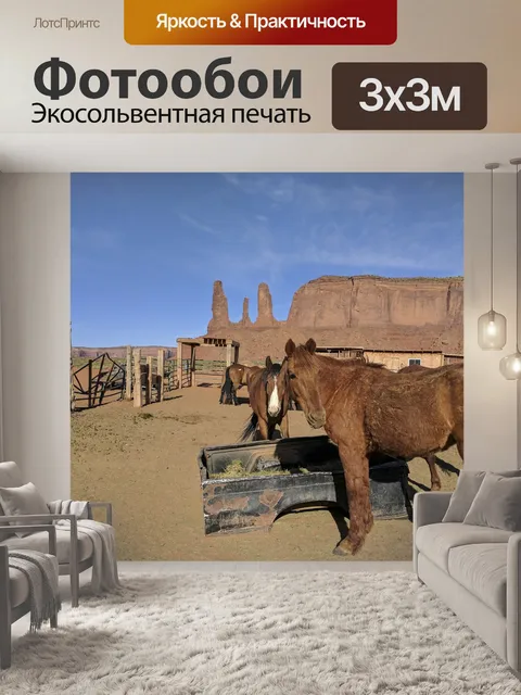 Фотообои Лошади в Долине Монументов, Аризона
