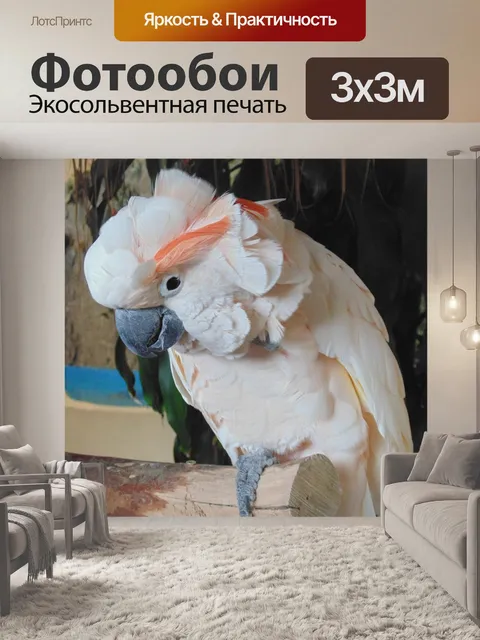 Фотообои Птица