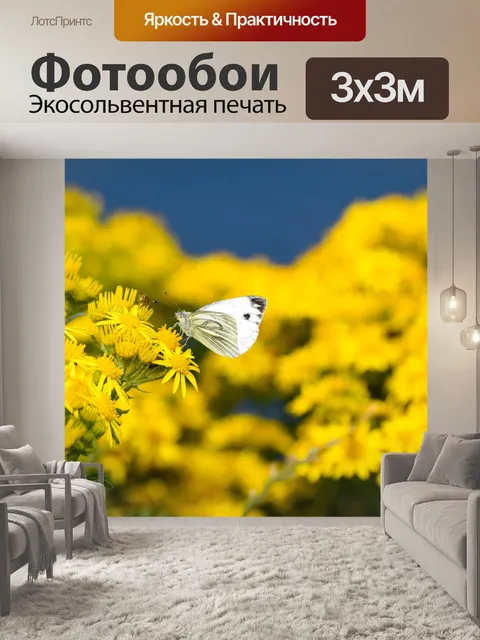 Фотообои Бабочка