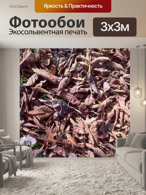 Фотообои Осенние листья