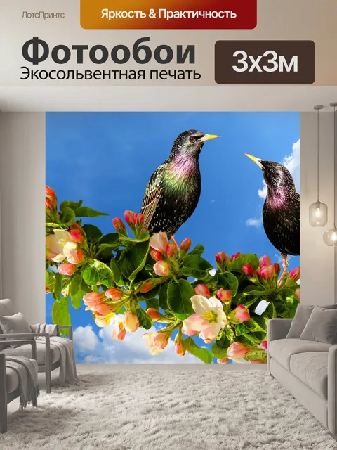 Фотообои Природа