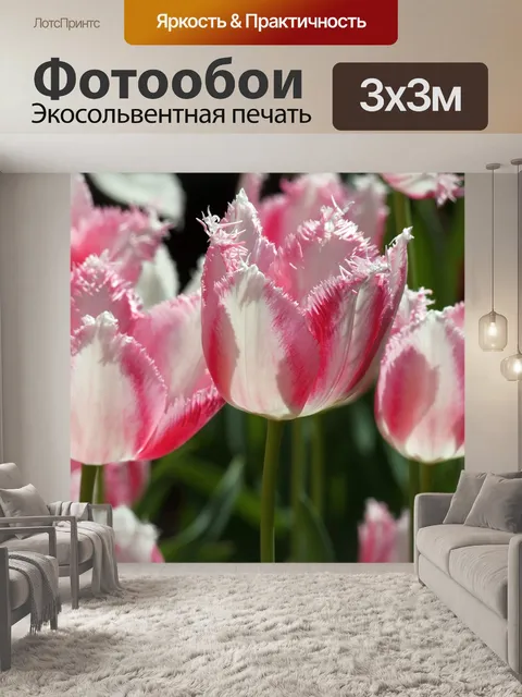 Фотообои Вьющиеся тюльпаны