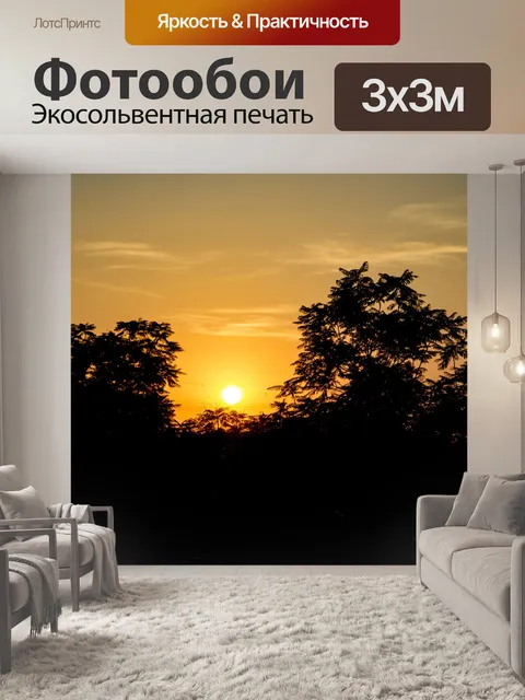 Фотообои Закат фон