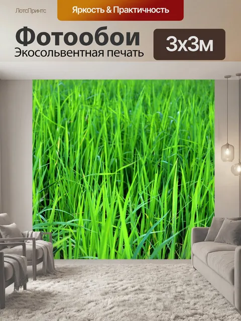 Фотообои Зеленое рисовое поле