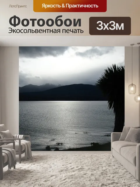 Фотообои Пальма