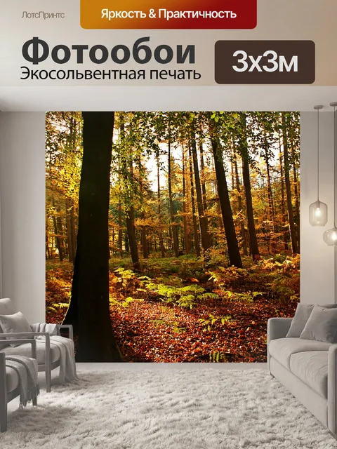 Фотообои Лес