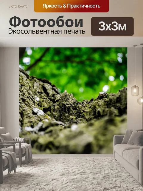 Фотообои Лес