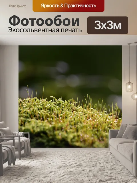 Фотообои Мох
