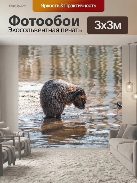 Фотообои Река