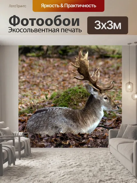 Фотообои Олень