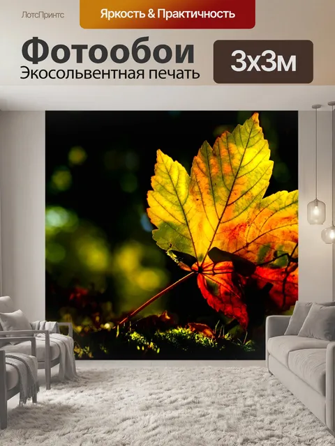 Фотообои Кленовый лист листва осень