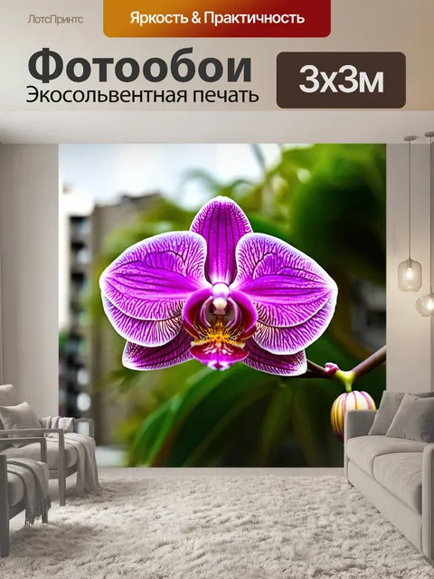 Фотообои орхидея, растущая на фоне урбанистической природы