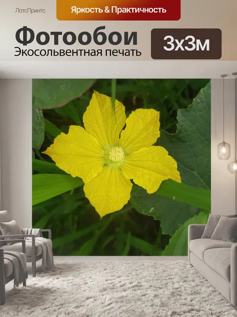 Фотообои Размытие