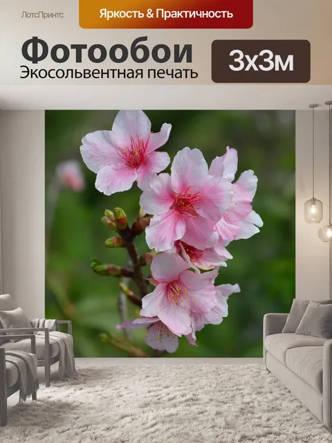 Фотообои Цветение вишни
