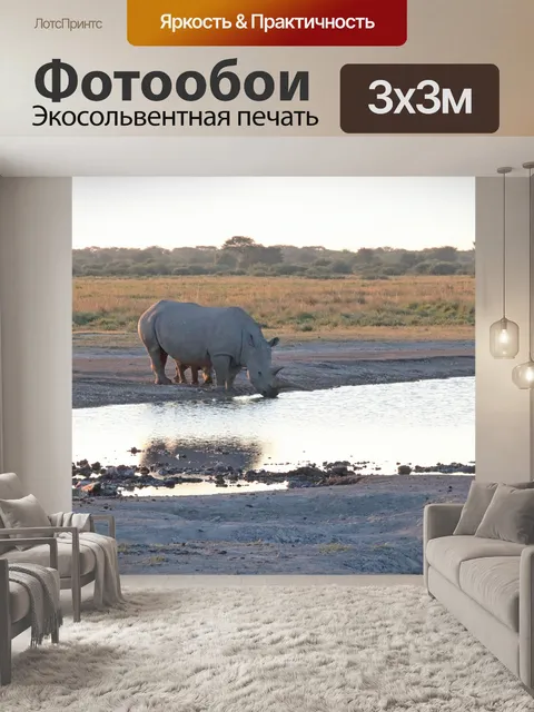 Фотообои взрослый носорог питьевой воды