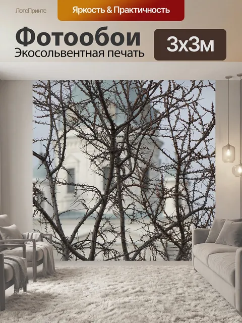 Фотообои Куст