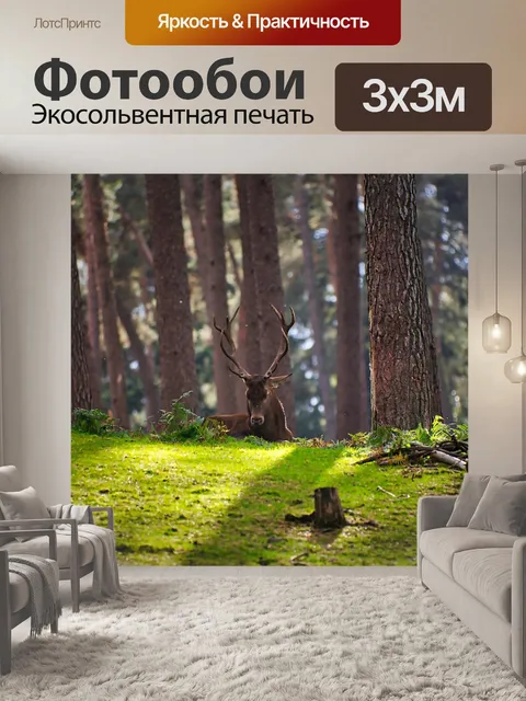 Фотообои Лес