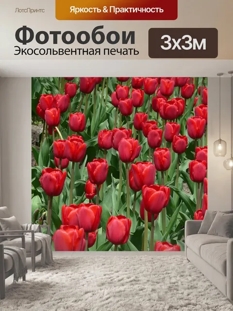 Фотообои Цветок