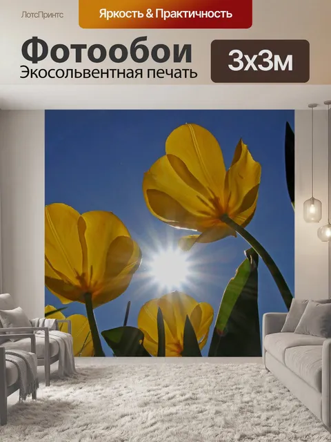 Фотообои Тюльпаны