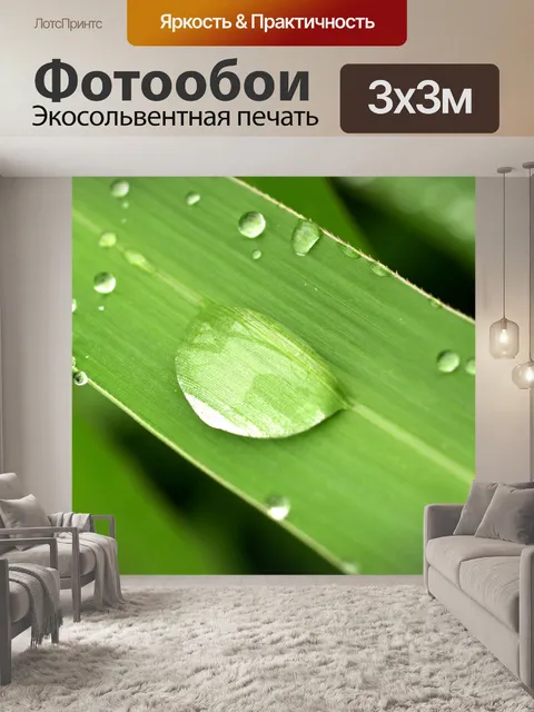 Фотообои Капля воды на листе
