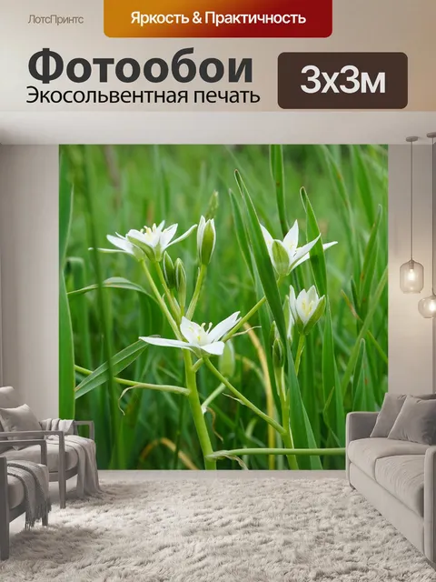 Фотообои Цветы