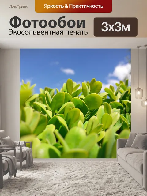 Фотообои Природа
