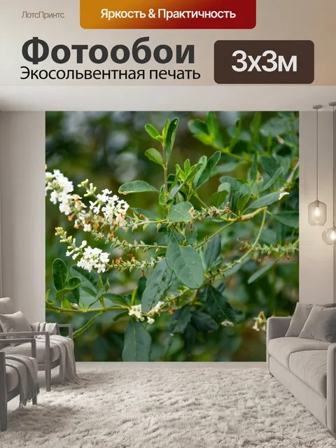Фотообои Природа