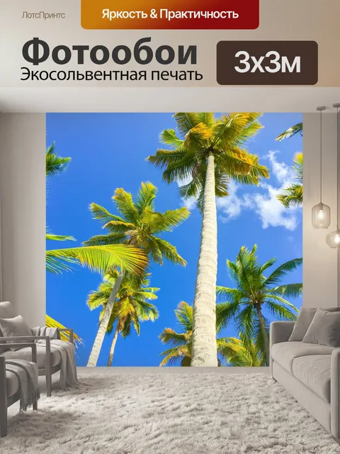 Фотообои Пальмы и голубое небо