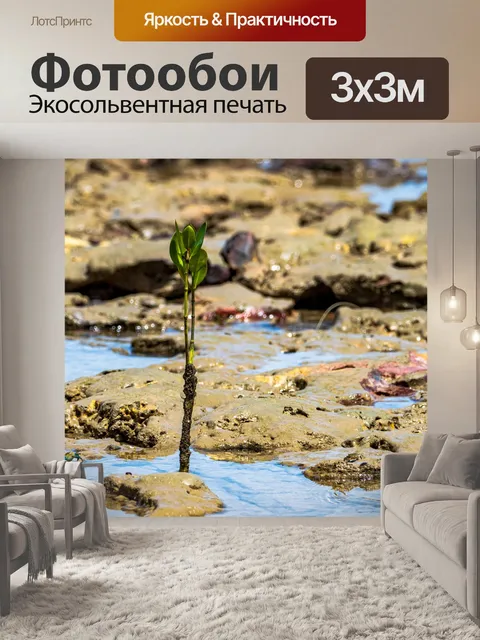 Фотообои Море