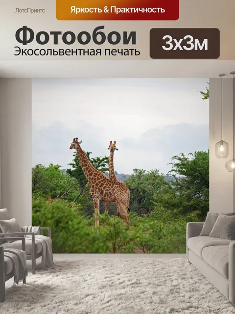 Фотообои длинношейный жираф в южной африке
