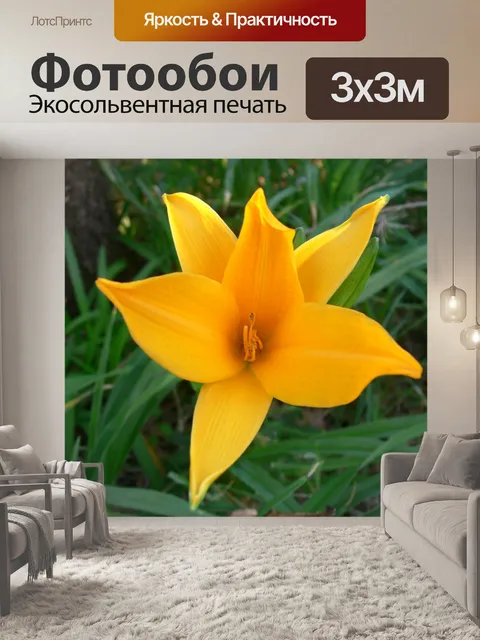 Фотообои Ярко-желтые лилии