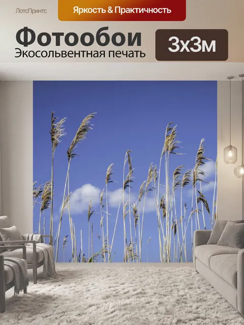 Фотообои Трава