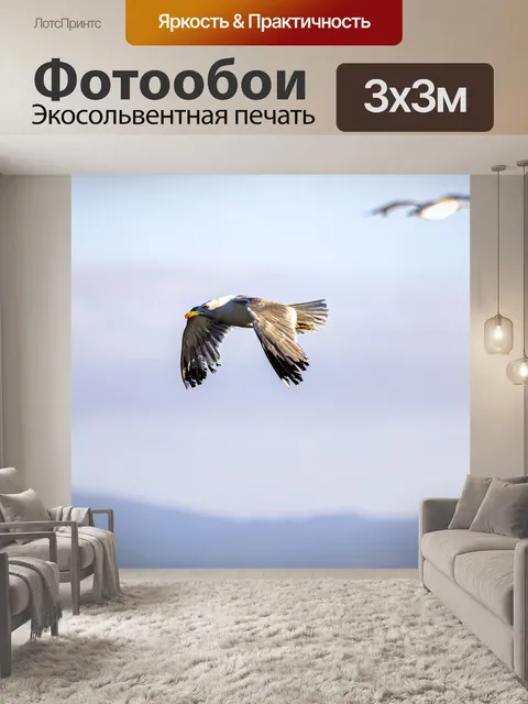 Фотообои Птица