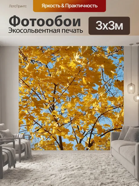 Фотообои Падение