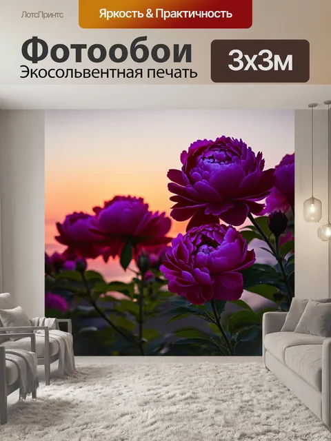 Фотообои пионы, вечерами, когда они начинают закрываться, с теплым заревом на горизонте, создавая уютное настроение
