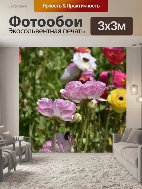 Фотообои Ранункулюс Цветы