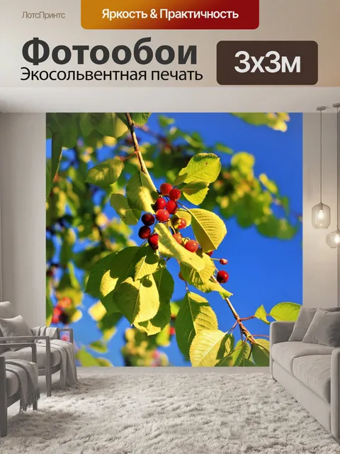 Фотообои Вишня