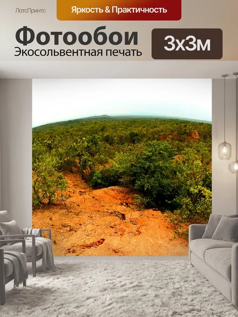 Фотообои Тропинка в садовых джунглях