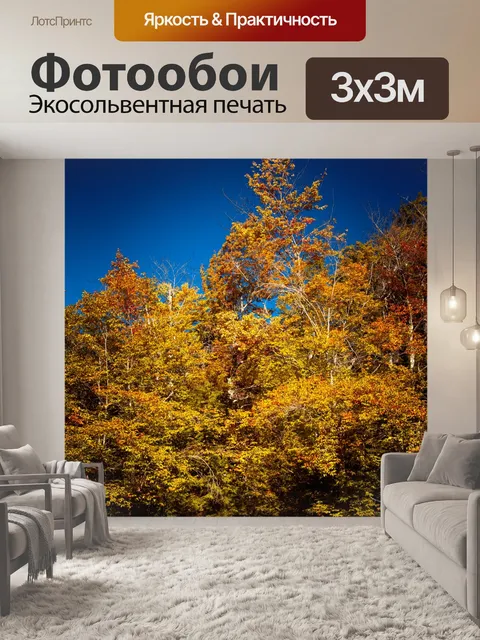 Фотообои Деревья осенью