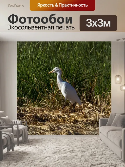 Фотообои Цапля