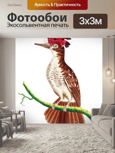 Фотообои Птицы тропических старинных искусства