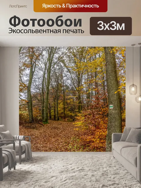Фотообои Красивый пейзаж