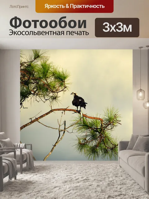Фотообои Скопа в дикой природе