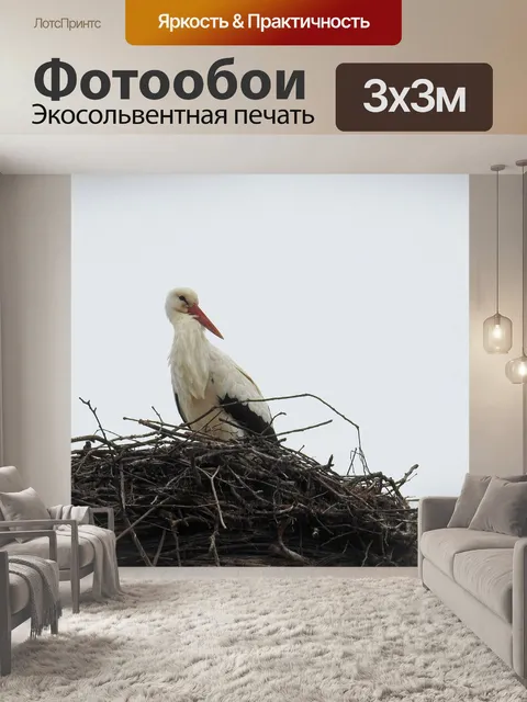 Фотообои Аист