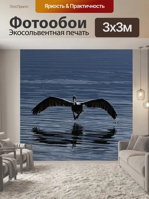 Фотообои Птицы